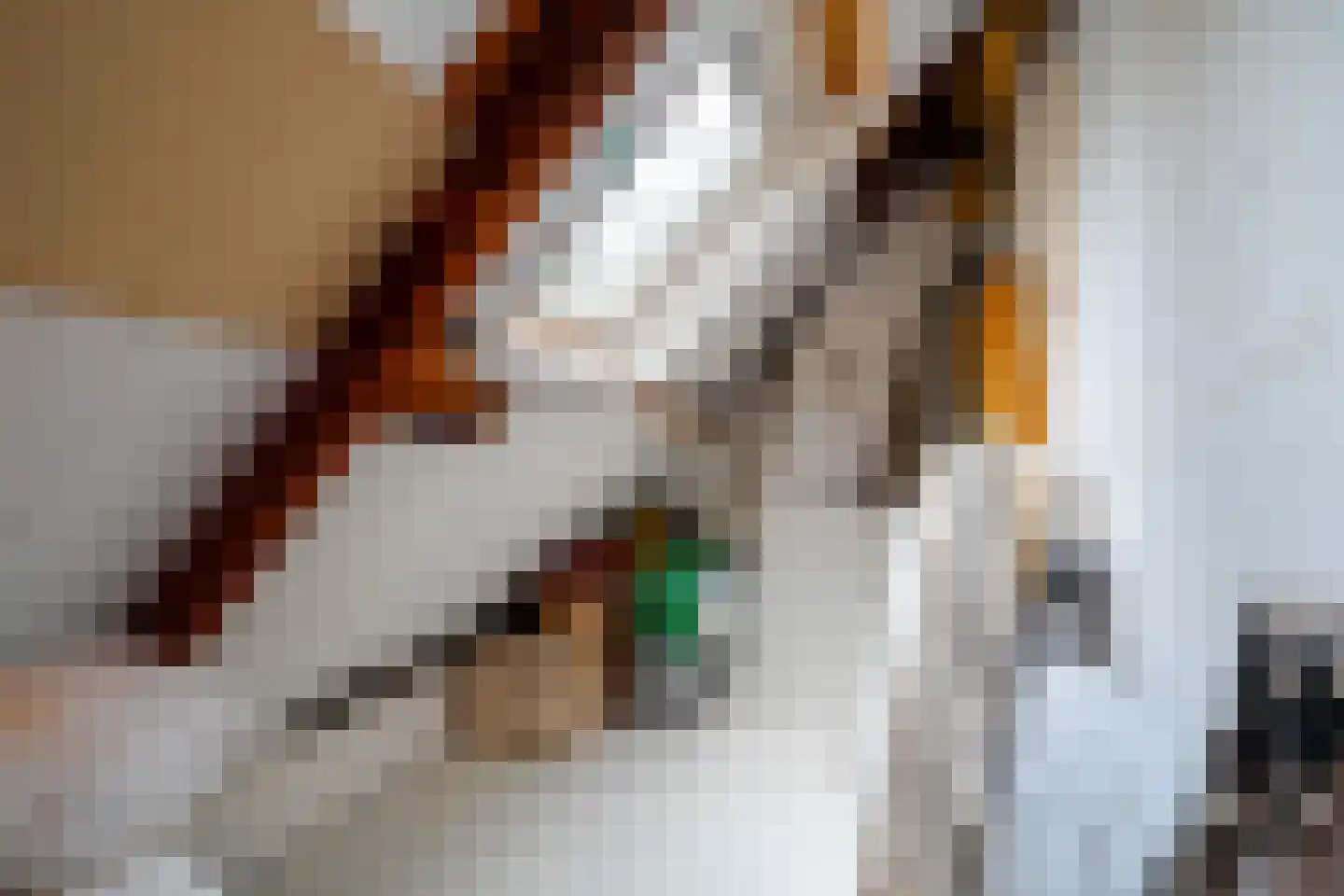 Kerkstraat 7 Noordlaren thumbnail 49