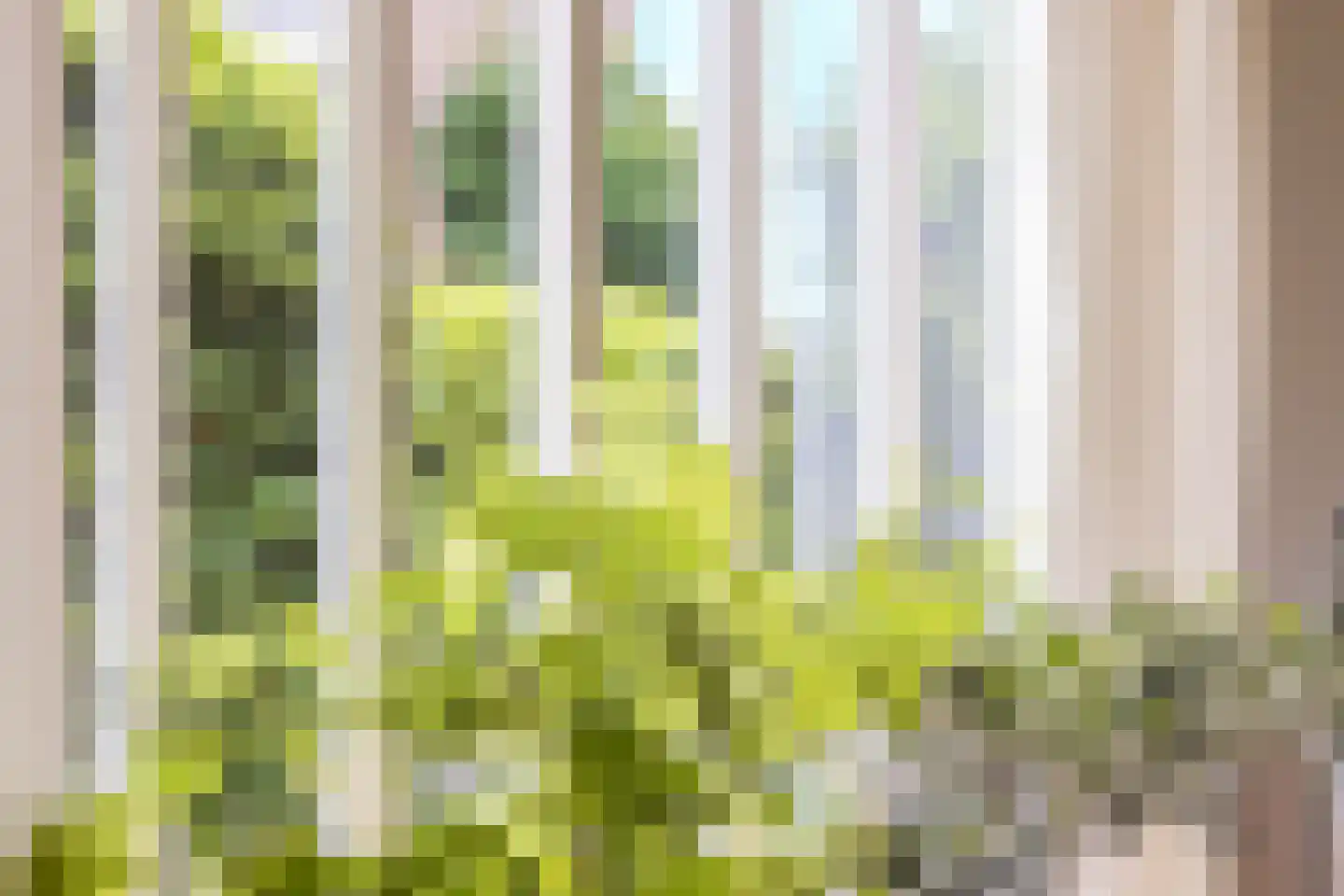 Kerkstraat 7 Rheden thumbnail 14