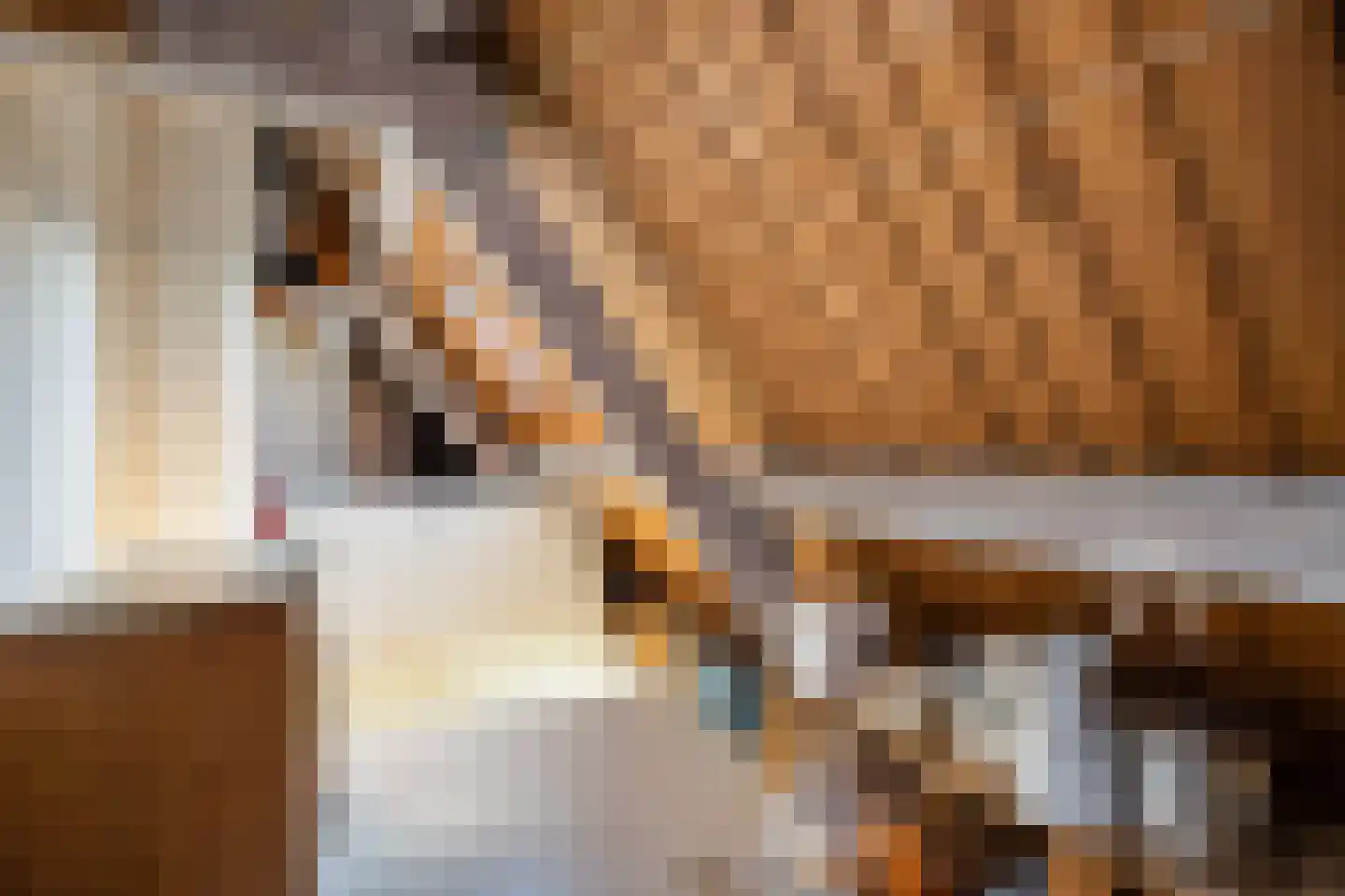 Kerkstraat 7 Rheden thumbnail 25