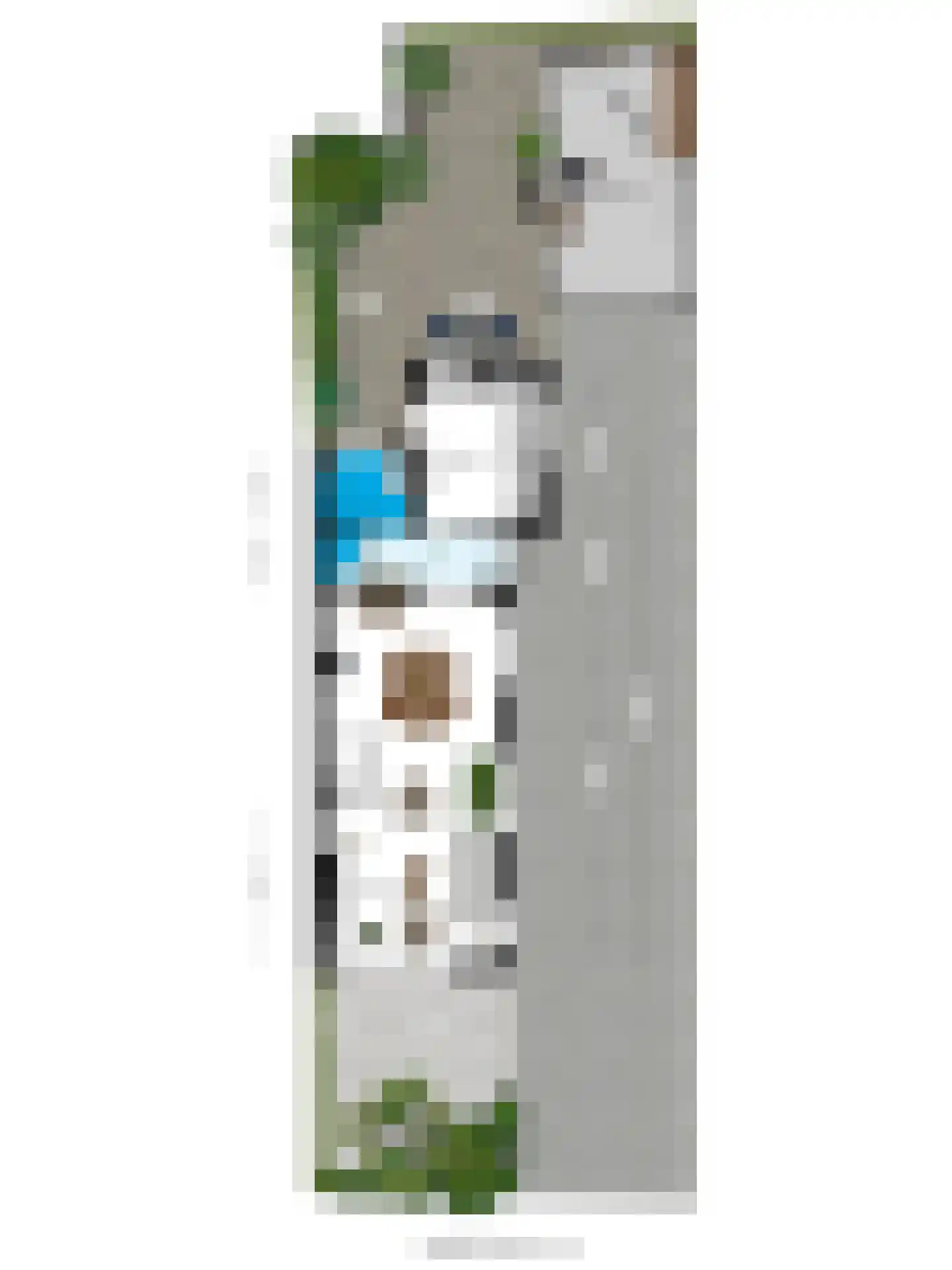 Kerkstraat 7 Rheden thumbnail 36
