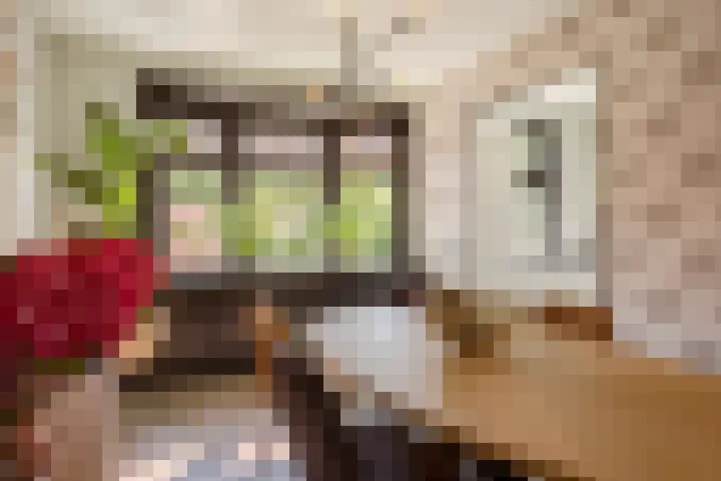 Kerkstraat 7 Rijswijk thumbnail 12