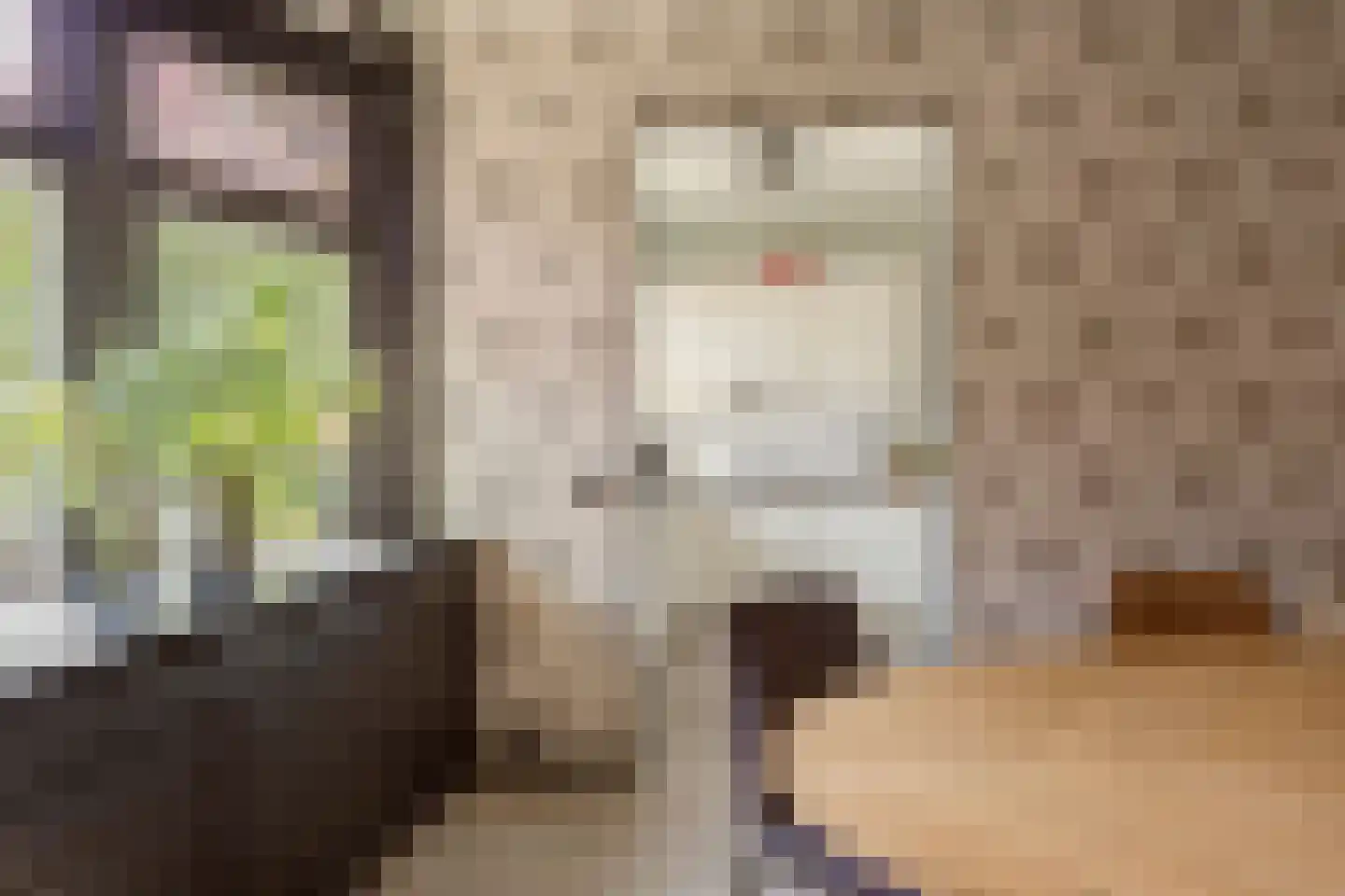 Kerkstraat 7 Rijswijk thumbnail 13