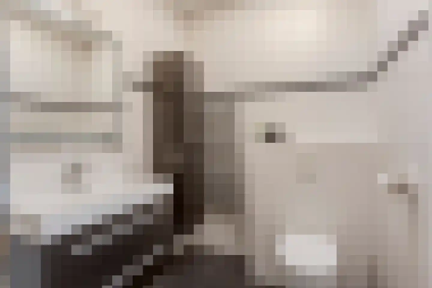 Kerkstraat 7 Rijswijk thumbnail 34