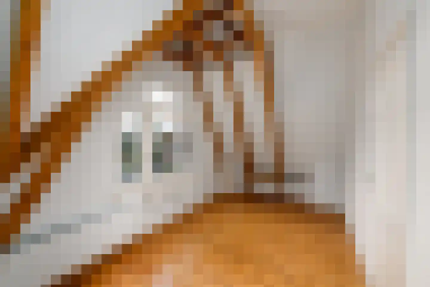 Kerkstraat 7 Sint Nicolaasga thumbnail 37