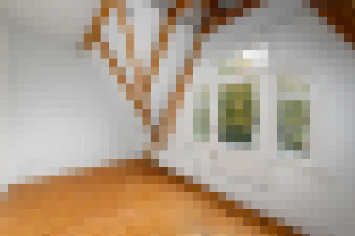 Kerkstraat 7 Sint Nicolaasga thumbnail 39