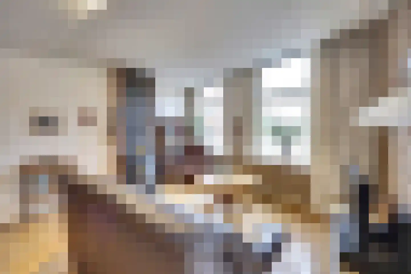 Kerkstraat 7 Vollenhove thumbnail 10