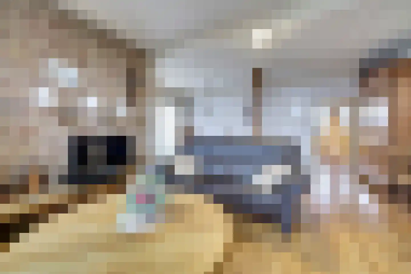 Kerkstraat 7 Vollenhove thumbnail 11