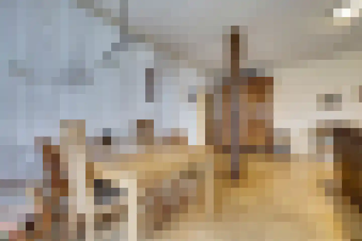 Kerkstraat 7 Vollenhove thumbnail 14