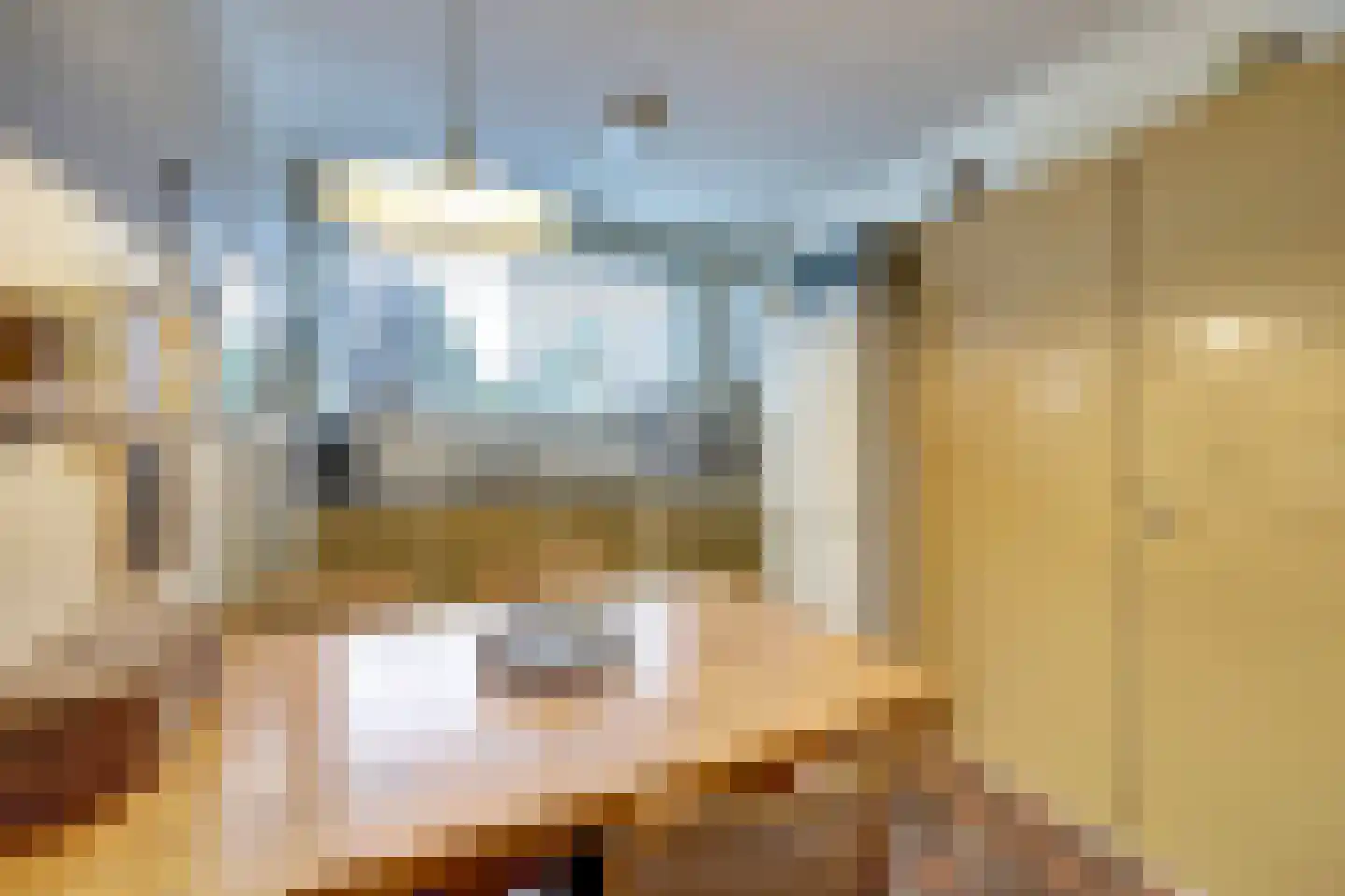 Kerkstraat 7 Vollenhove thumbnail 16