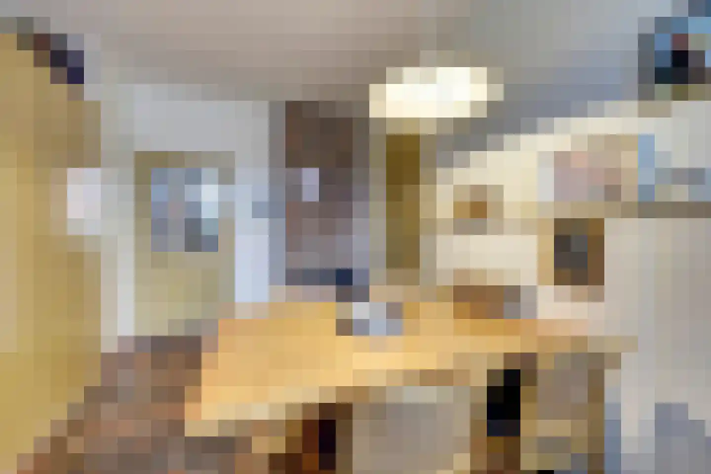 Kerkstraat 7 Vollenhove thumbnail 17