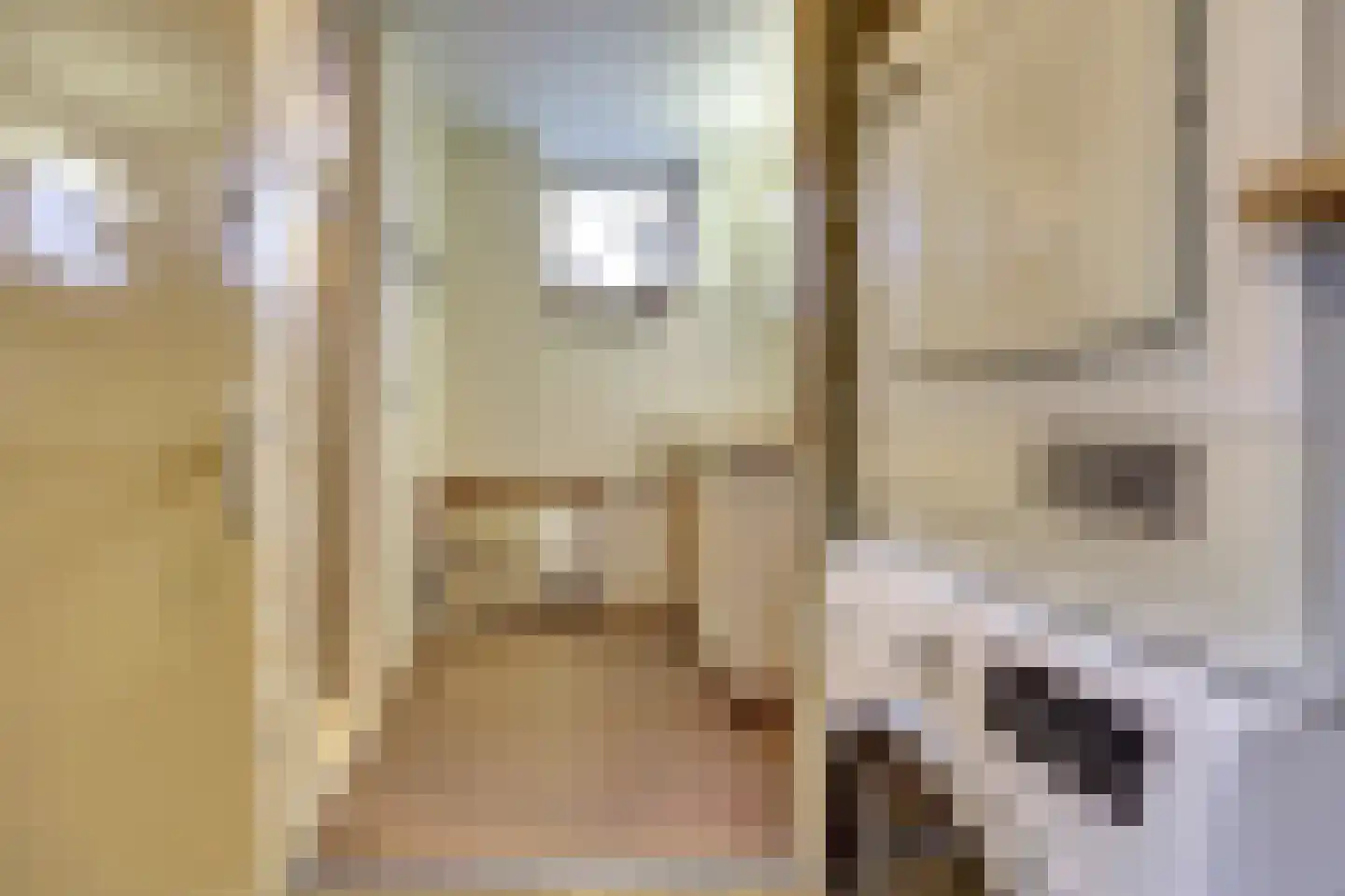 Kerkstraat 7 Vollenhove thumbnail 19
