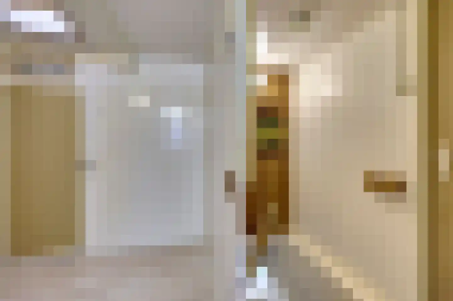Kerkstraat 7 Vollenhove thumbnail 21