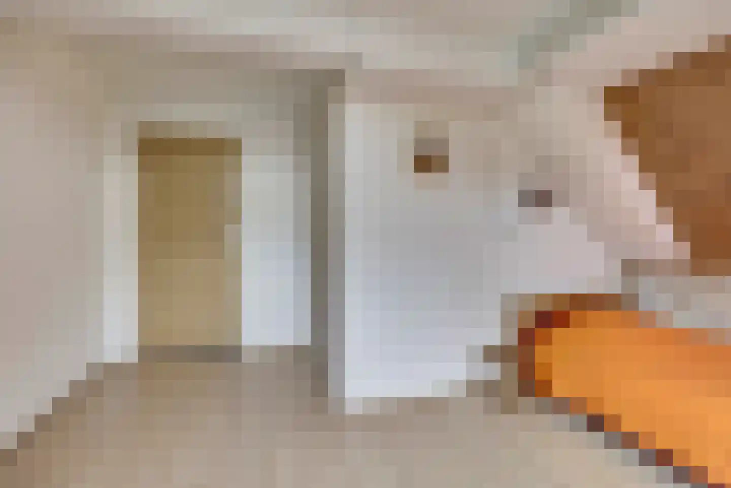 Kerkstraat 7 Vollenhove thumbnail 26