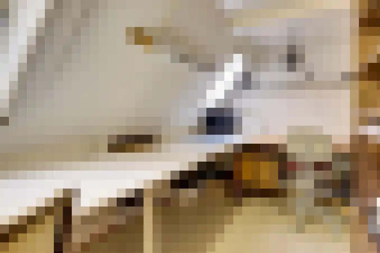 Kerkstraat 7 Vollenhove thumbnail 27