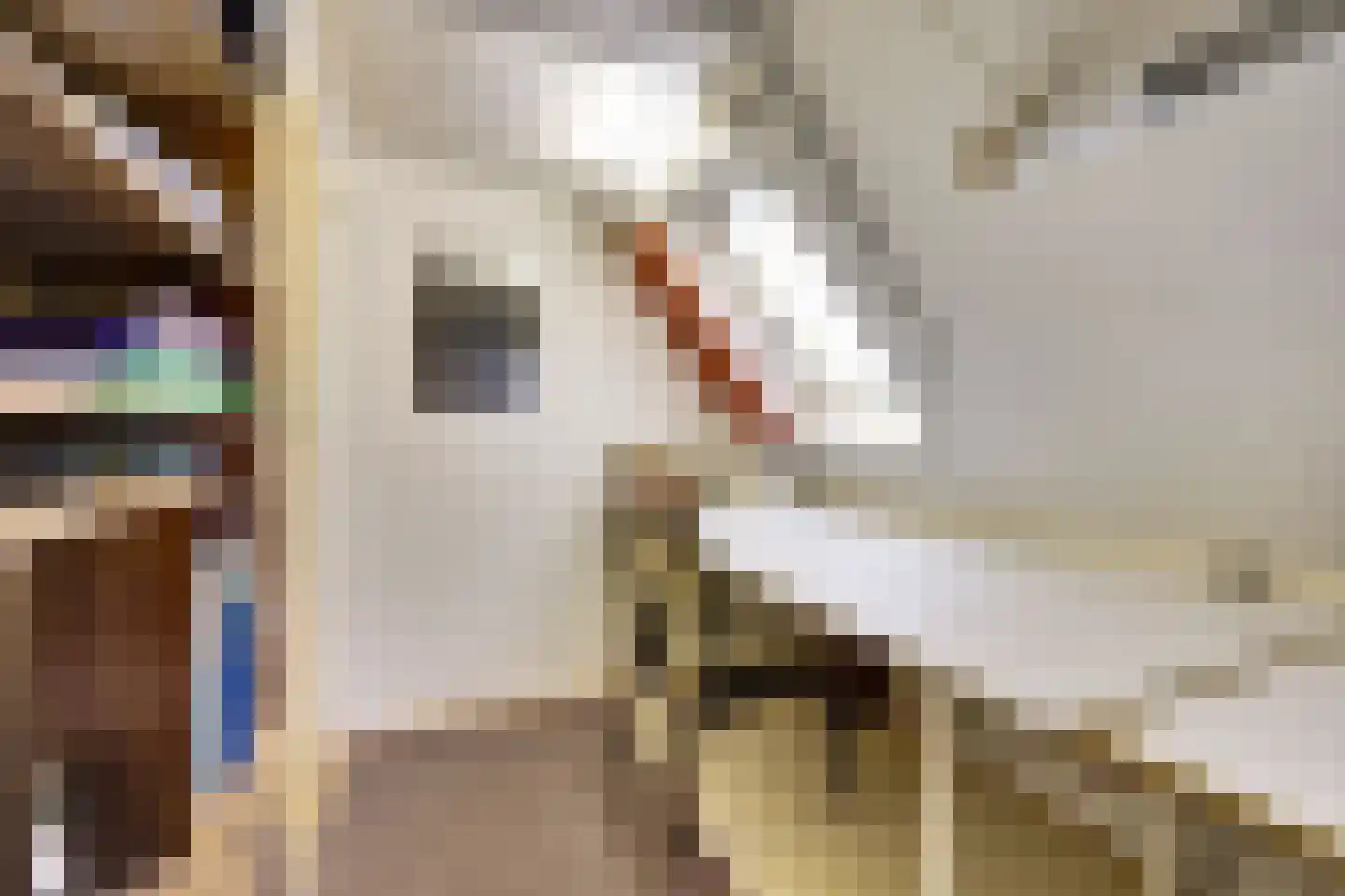 Kerkstraat 7 Vollenhove thumbnail 28