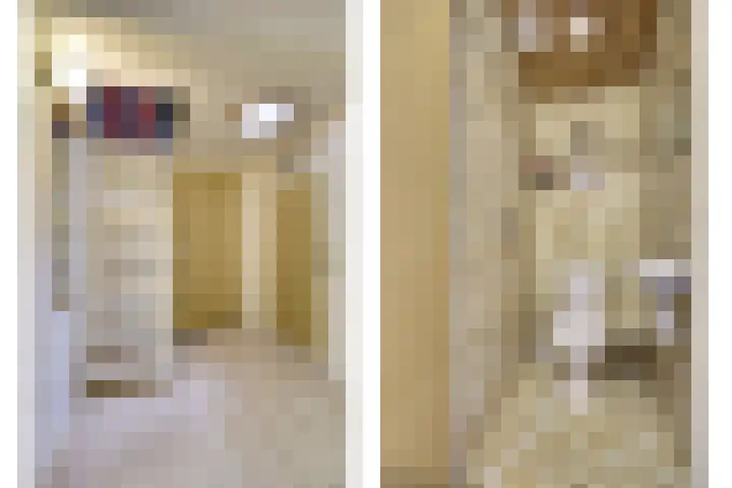 Kerkstraat 7 Vollenhove thumbnail 31