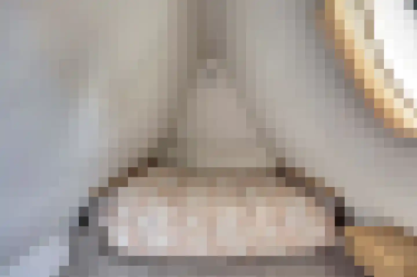 Kerkstraat 7 Vollenhove thumbnail 34