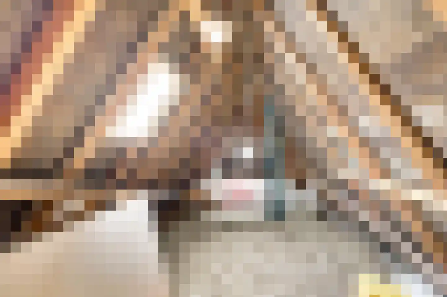 Kerkstraat 7 Vollenhove thumbnail 35