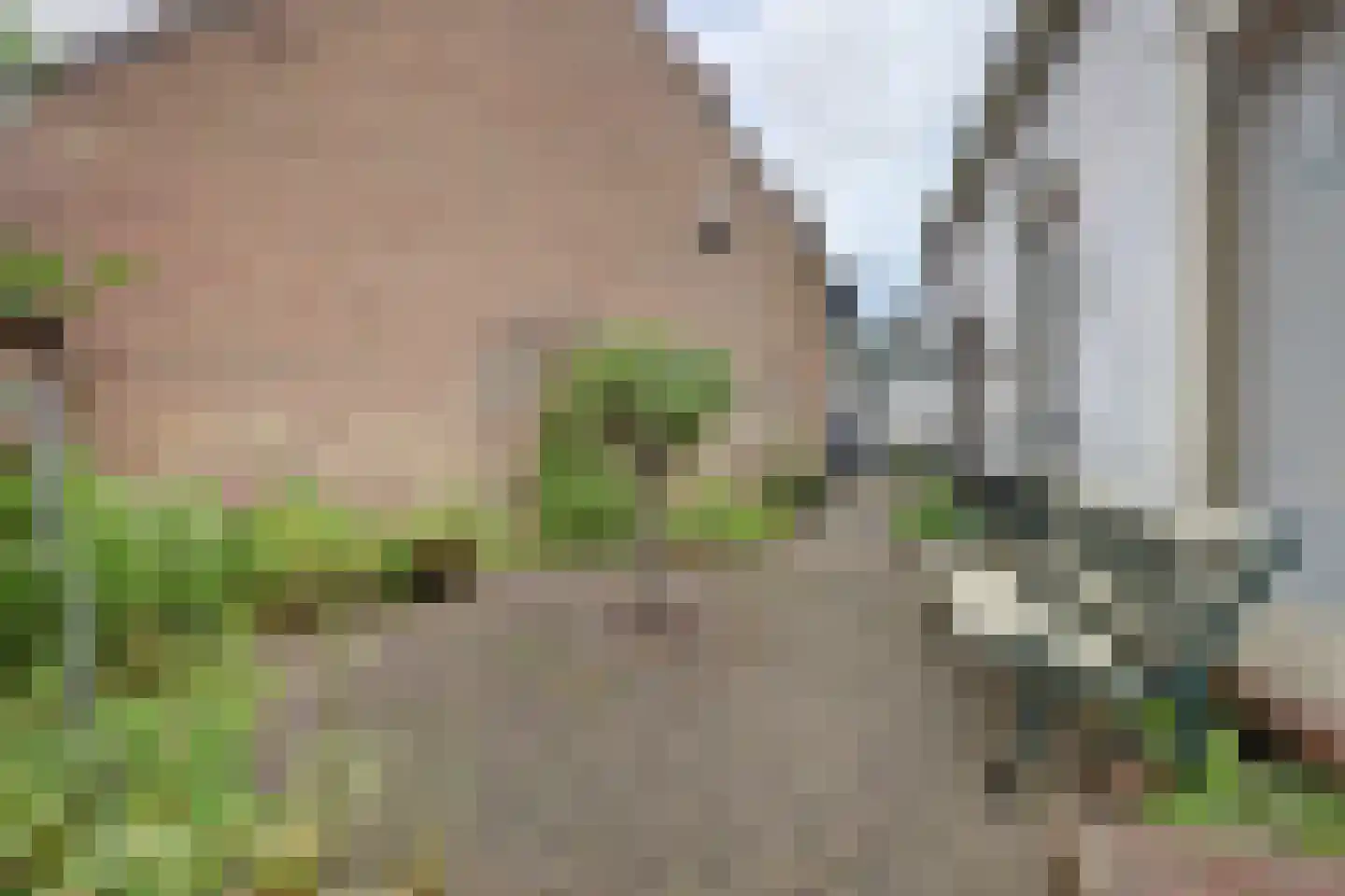 Kerkstraat 7 Vollenhove thumbnail 37