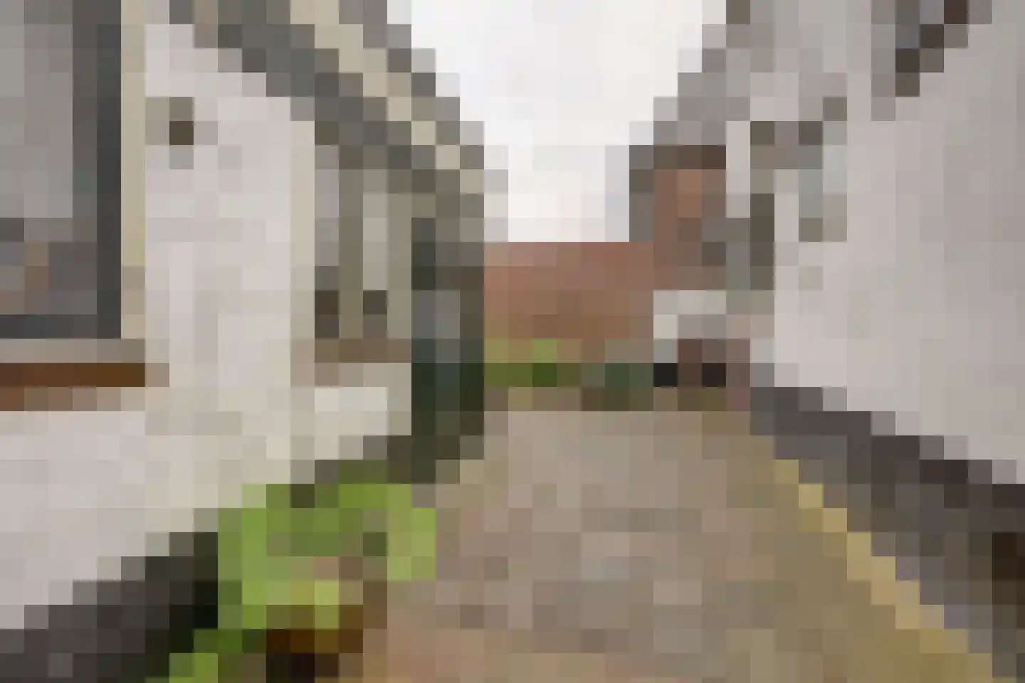 Kerkstraat 7 Vollenhove thumbnail 38