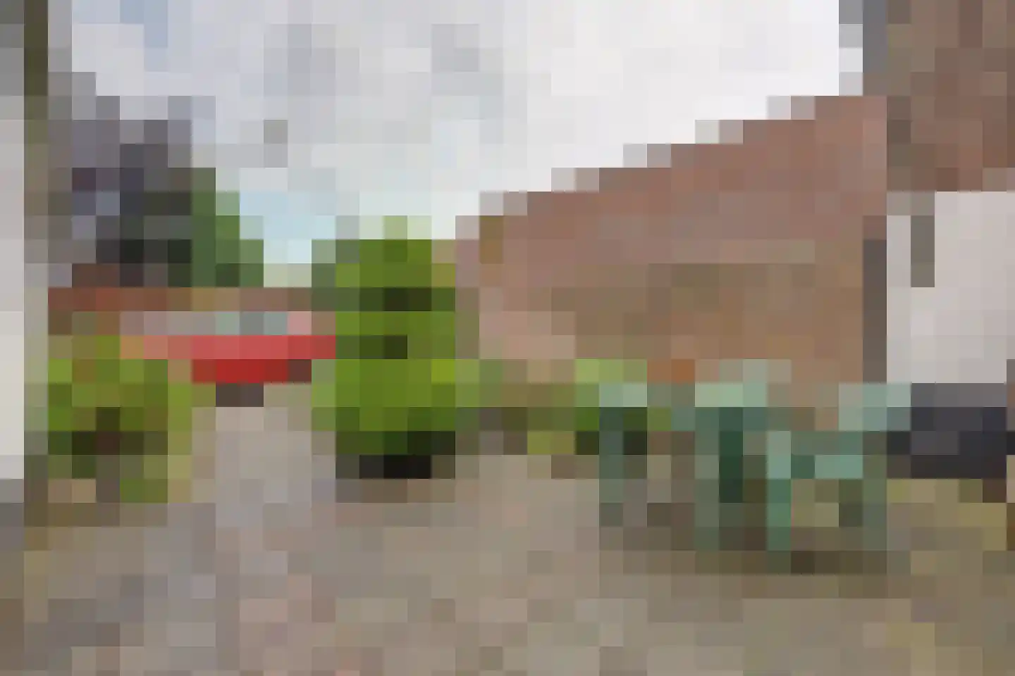 Kerkstraat 7 Vollenhove thumbnail 39