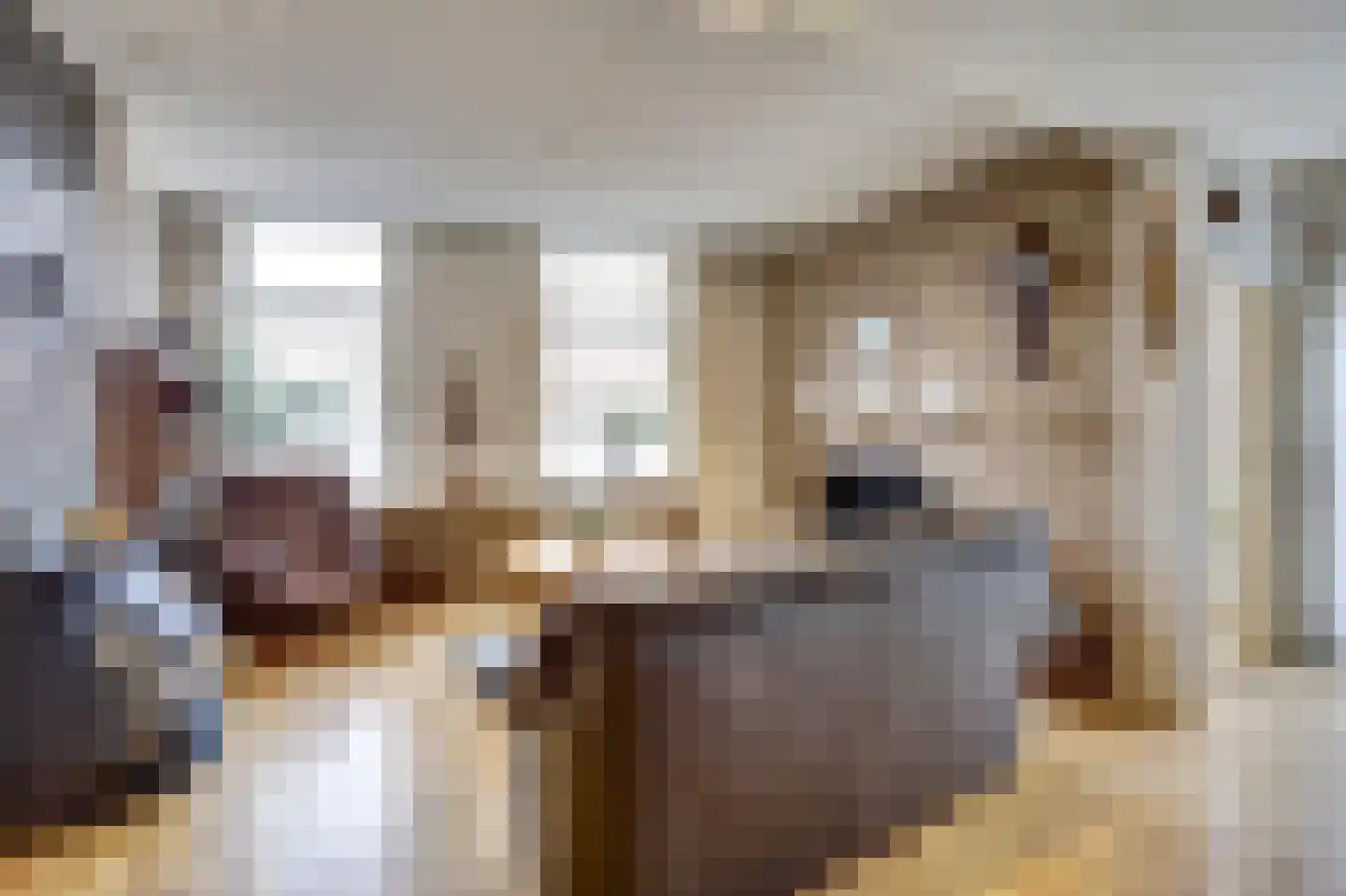 Kerkstraat 7 Vollenhove thumbnail 9