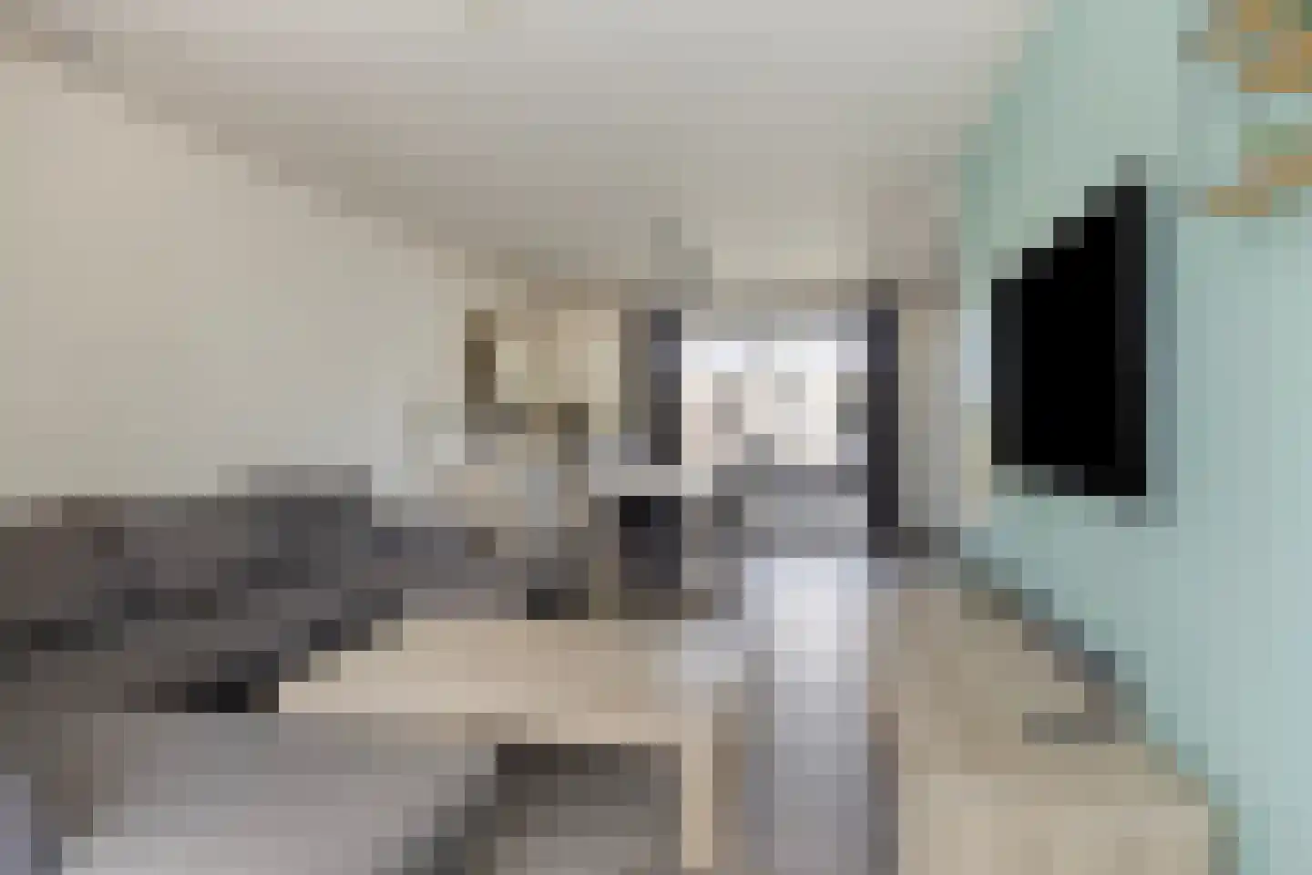 Kerkstraat 7 Westerhoven thumbnail 6