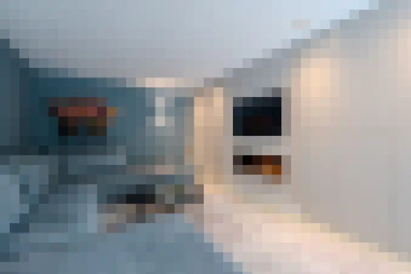 Kerkstraat 70 Oisterwijk thumbnail 12
