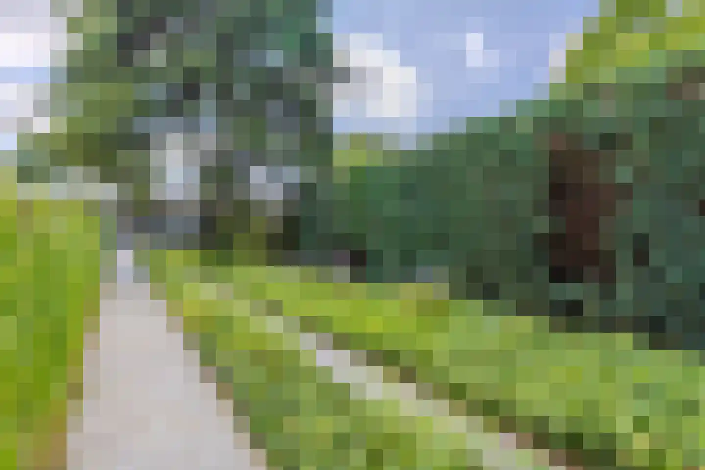 Kerkstraat 70 Oisterwijk thumbnail 42