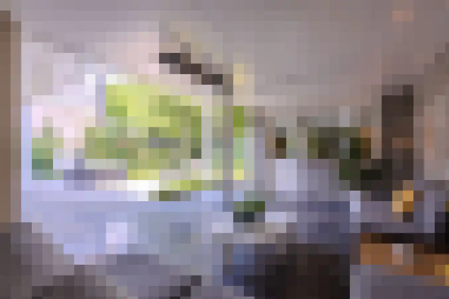 Kerkstraat 70 Oisterwijk thumbnail 44