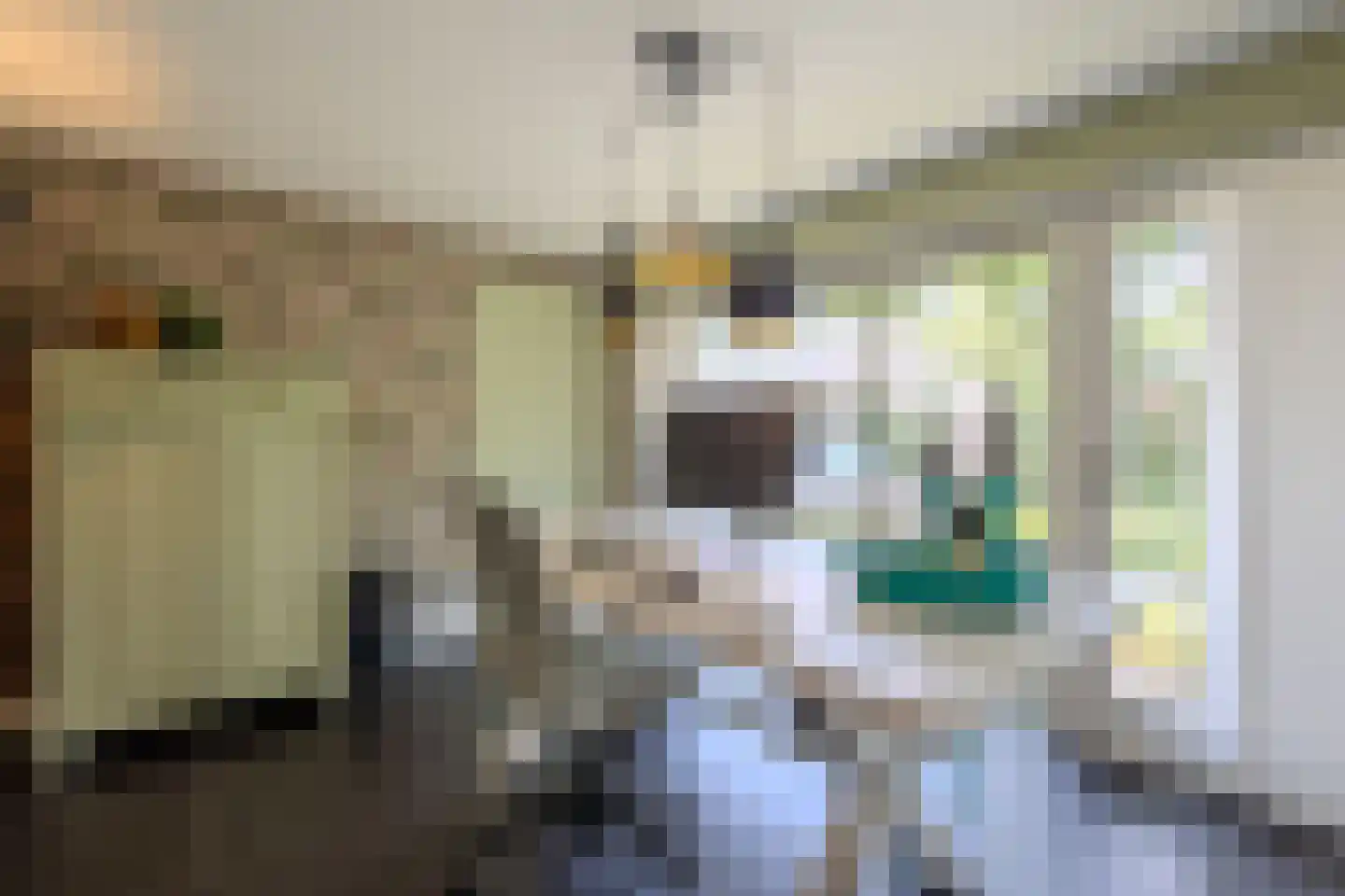 Kerkstraat 70 Oisterwijk thumbnail 47