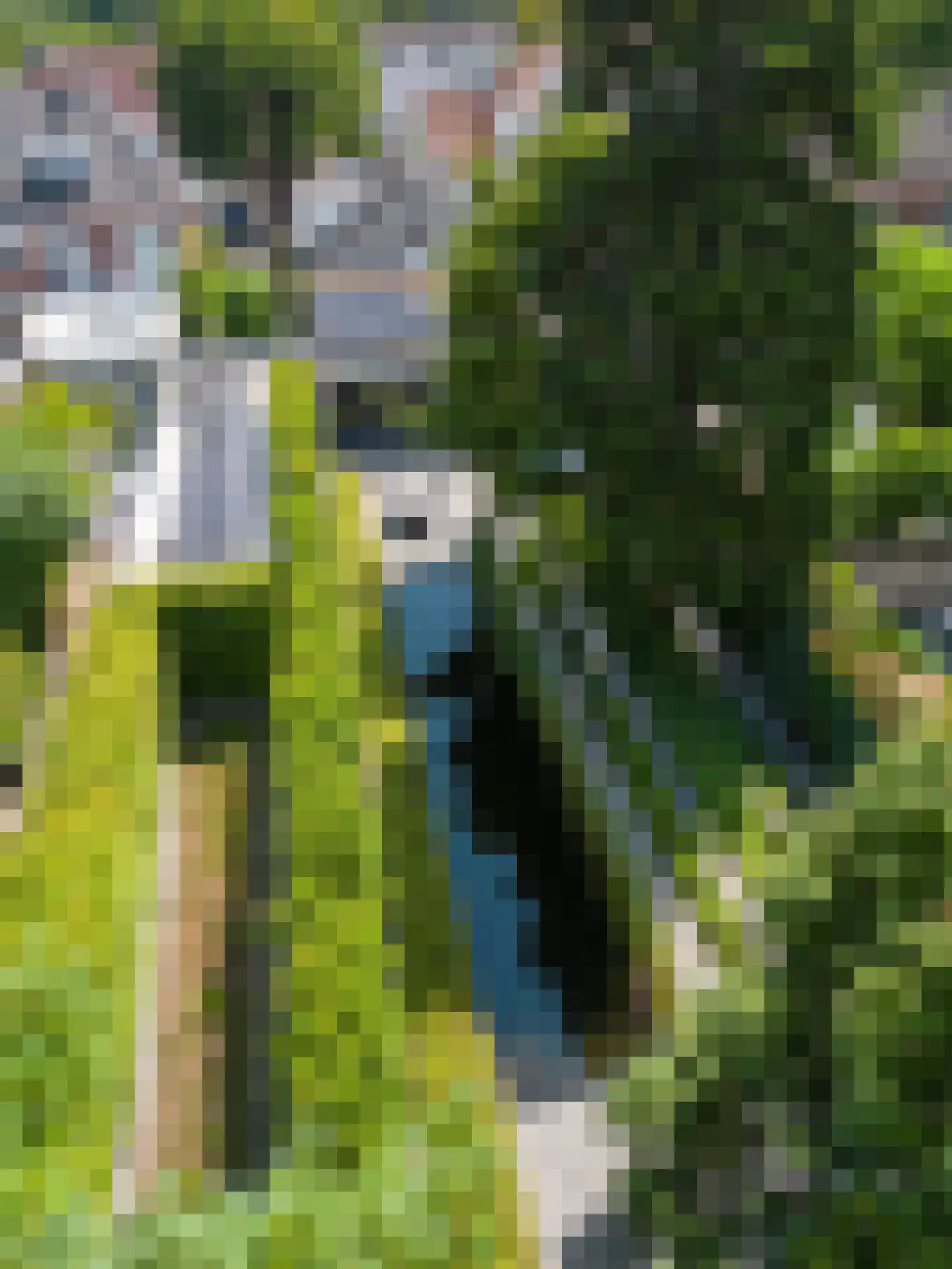 Kerkstraat 70 Oisterwijk thumbnail 48