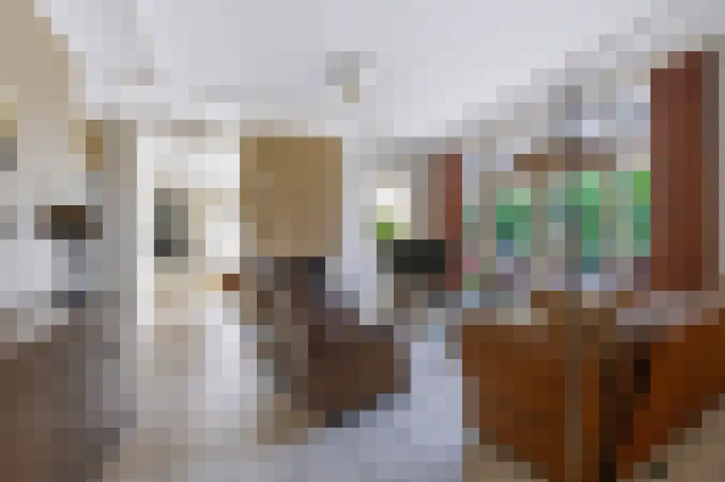 Kerkstraat 71 Zeeland thumbnail 17
