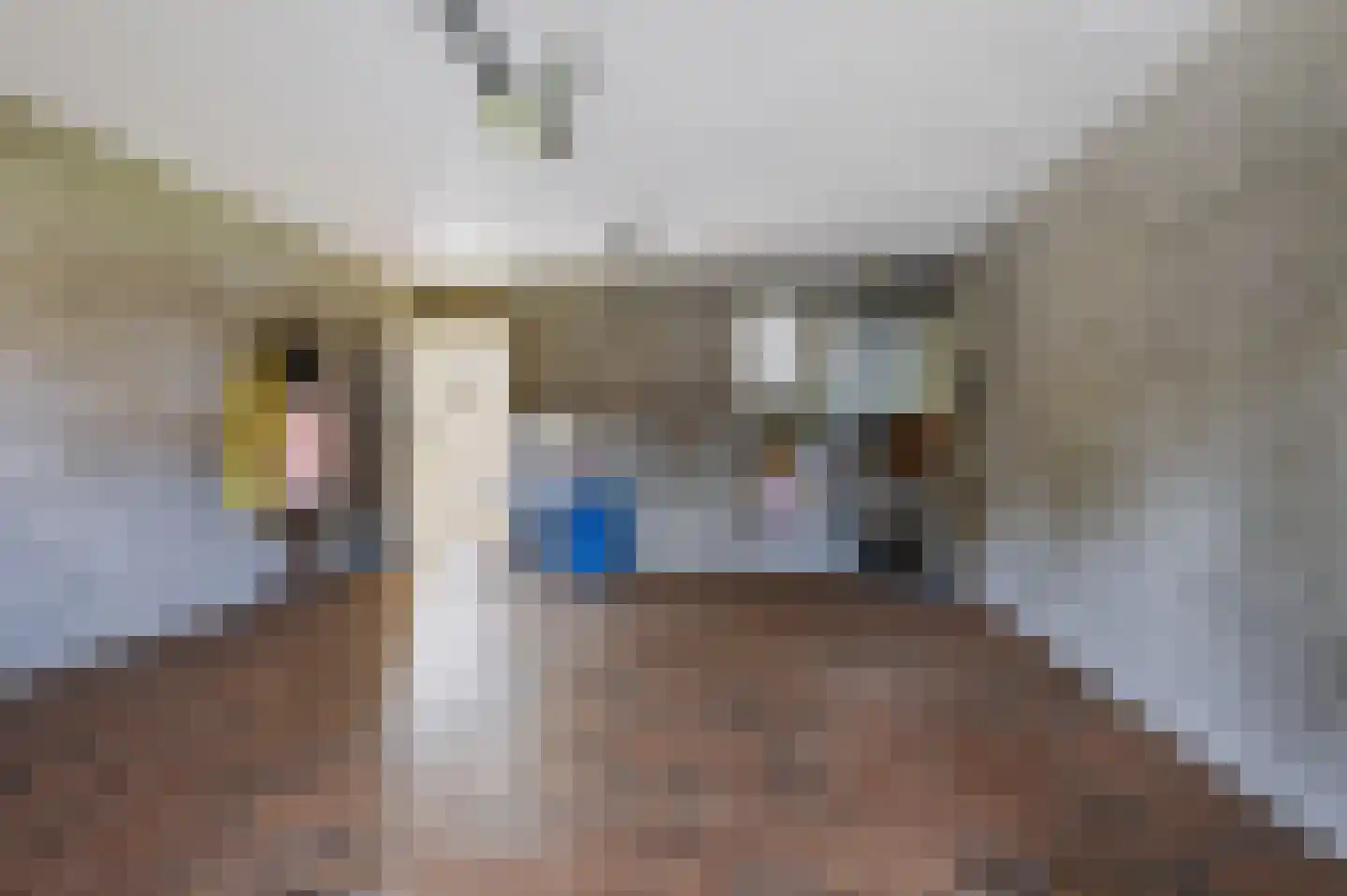 Kerkstraat 71 Zeeland thumbnail 23