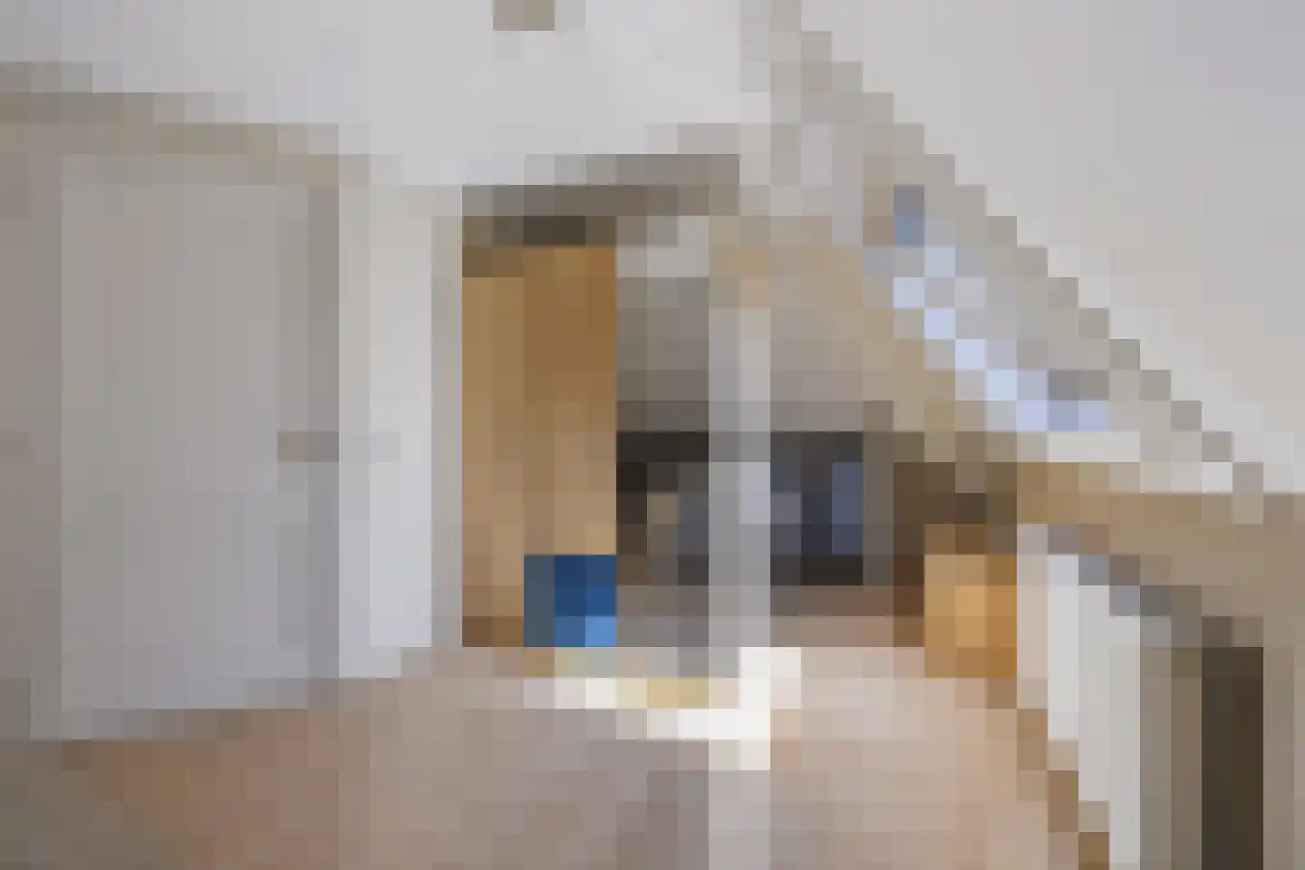 Kerkstraat 71 Zeeland thumbnail 38