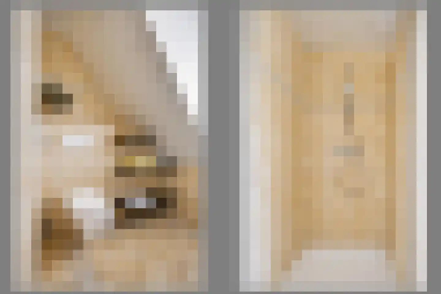 Kerkstraat 71 Zeeland thumbnail 45