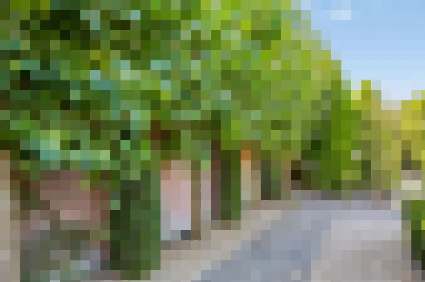 Kerkstraat 71 Zeeland thumbnail 54