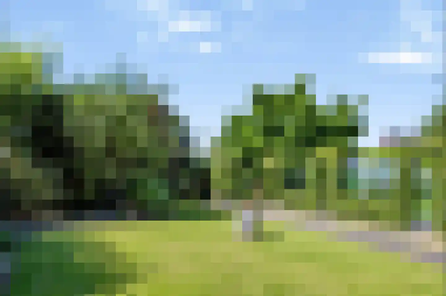 Kerkstraat 71 Zeeland thumbnail 55