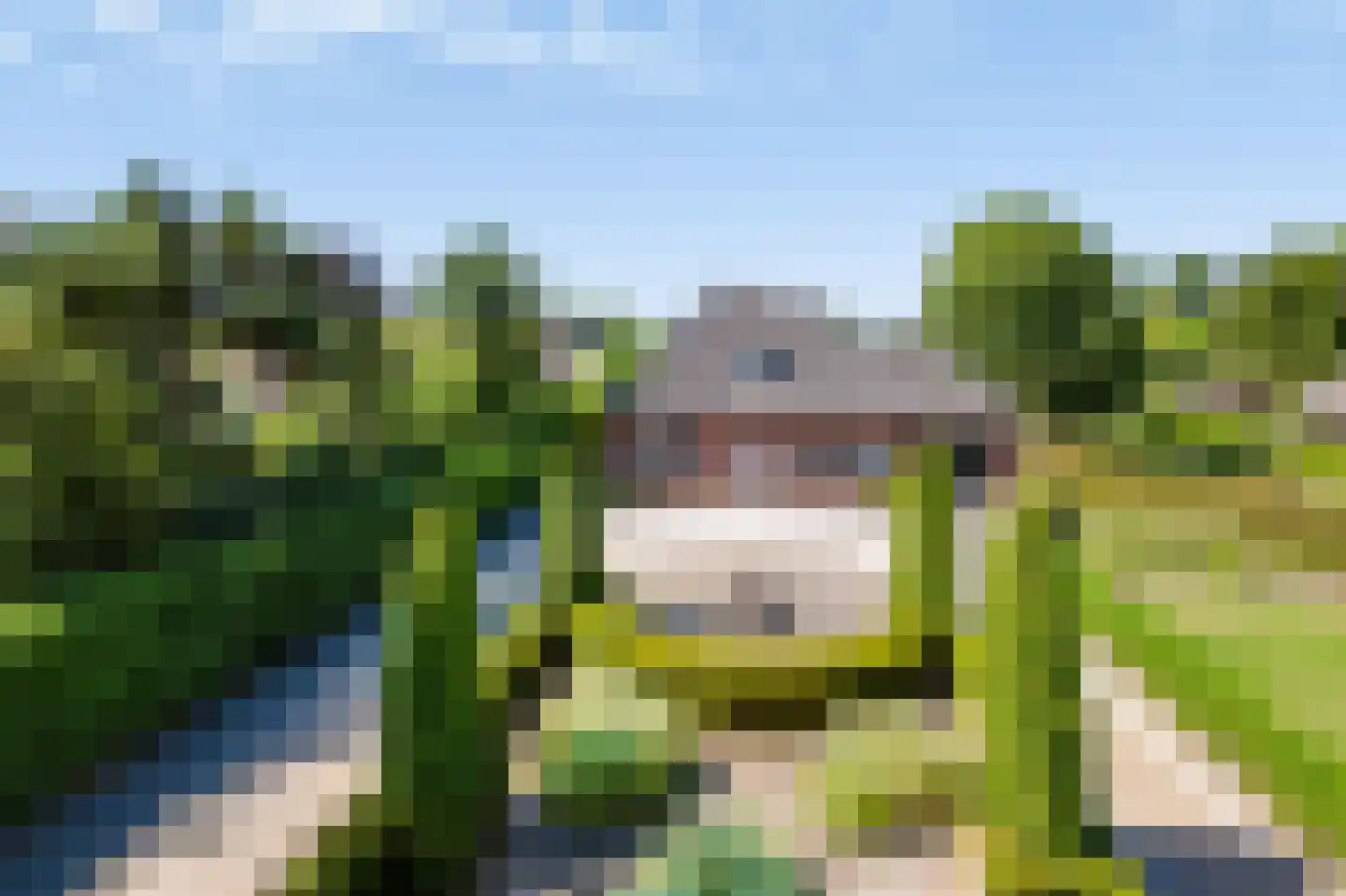 Kerkstraat 71 Zeeland thumbnail 6