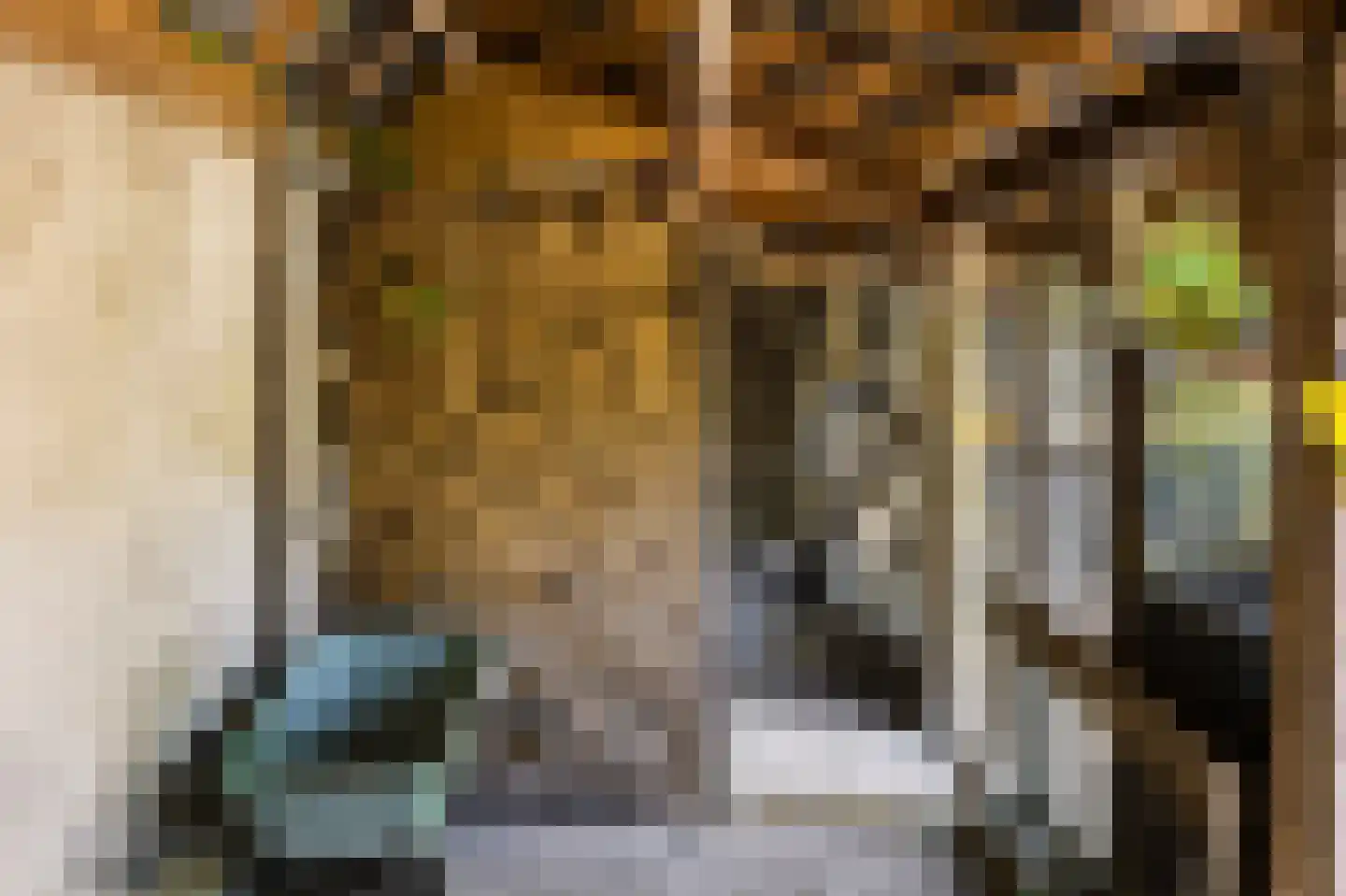 Kerkstraat 71 Zeeland thumbnail 60