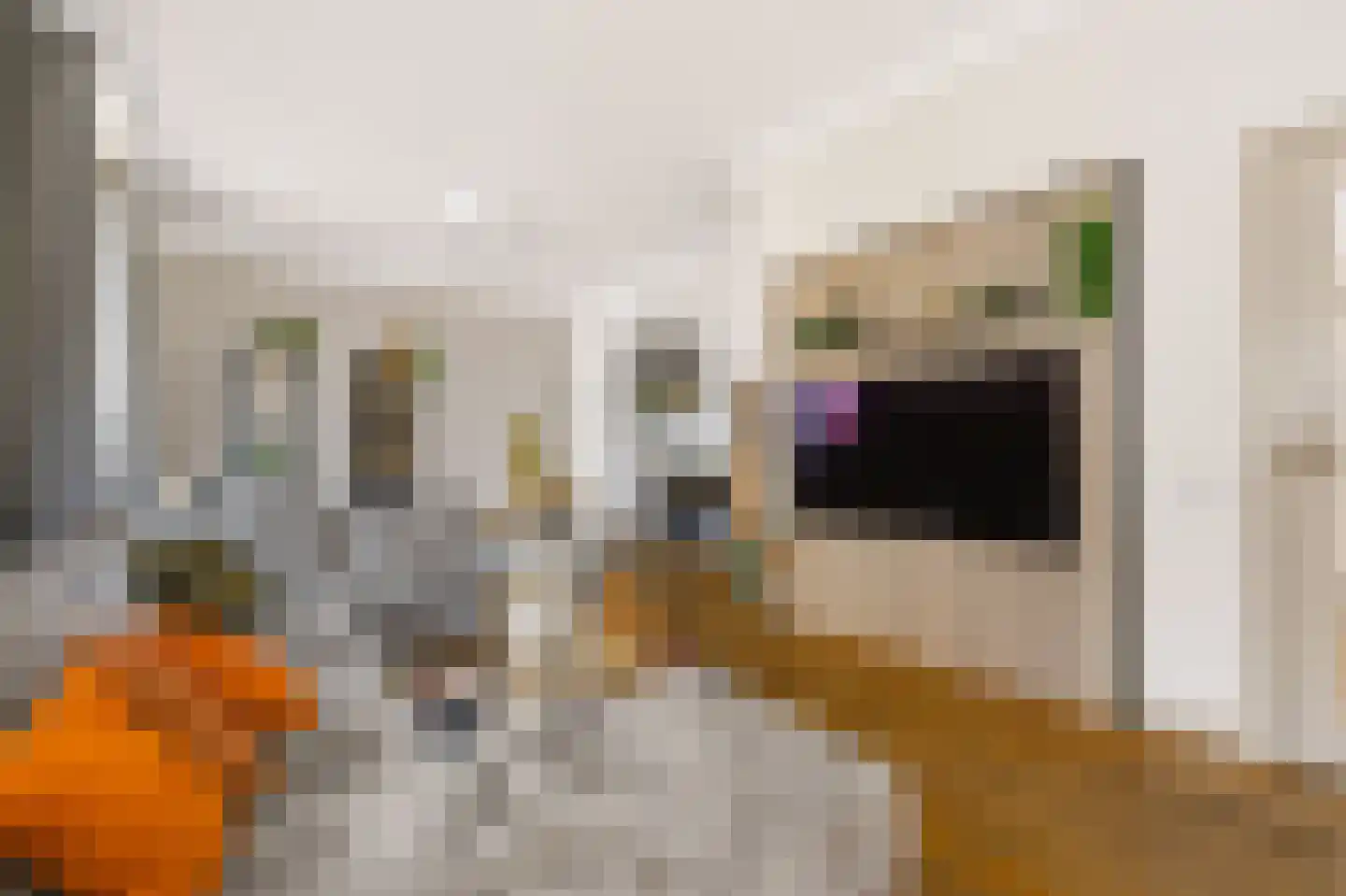 Kerkstraat 72 Zeeland thumbnail 16