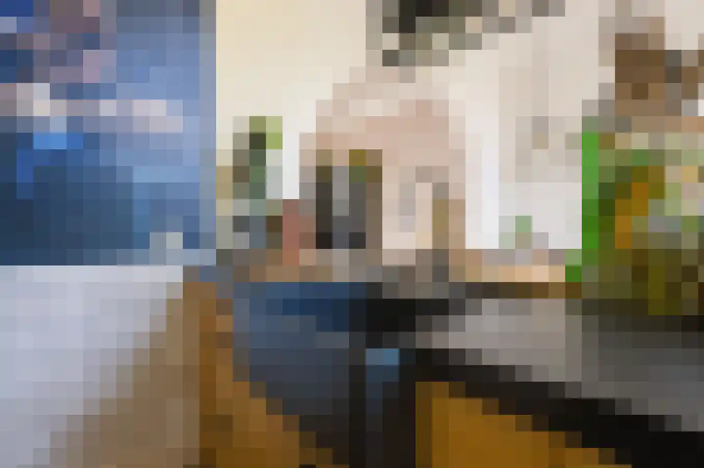 Kerkstraat 72 Zeeland thumbnail 23