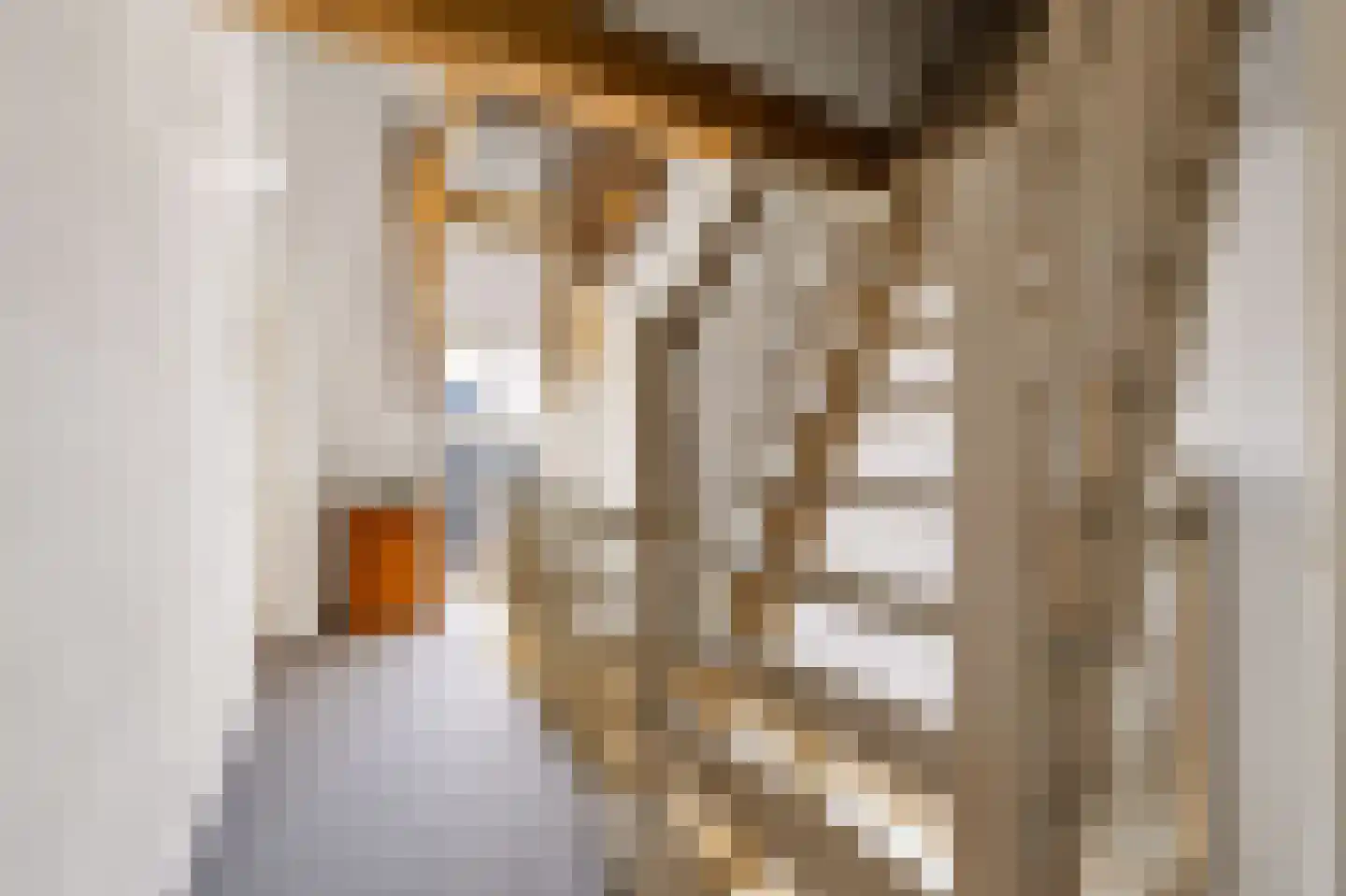 Kerkstraat 72 Zeeland thumbnail 27