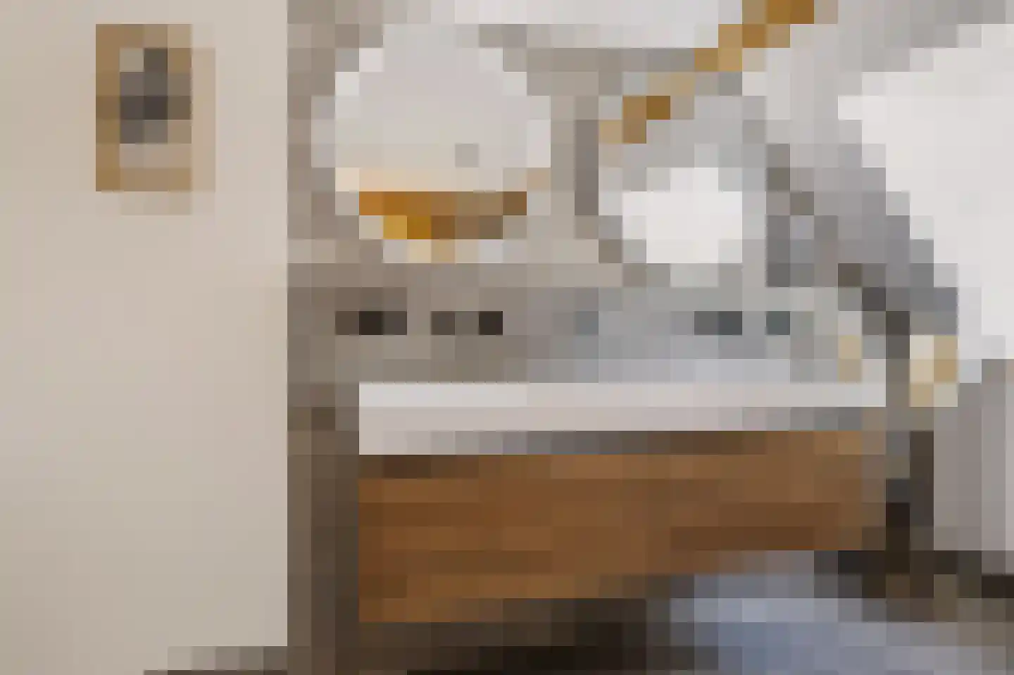 Kerkstraat 72 Zeeland thumbnail 37