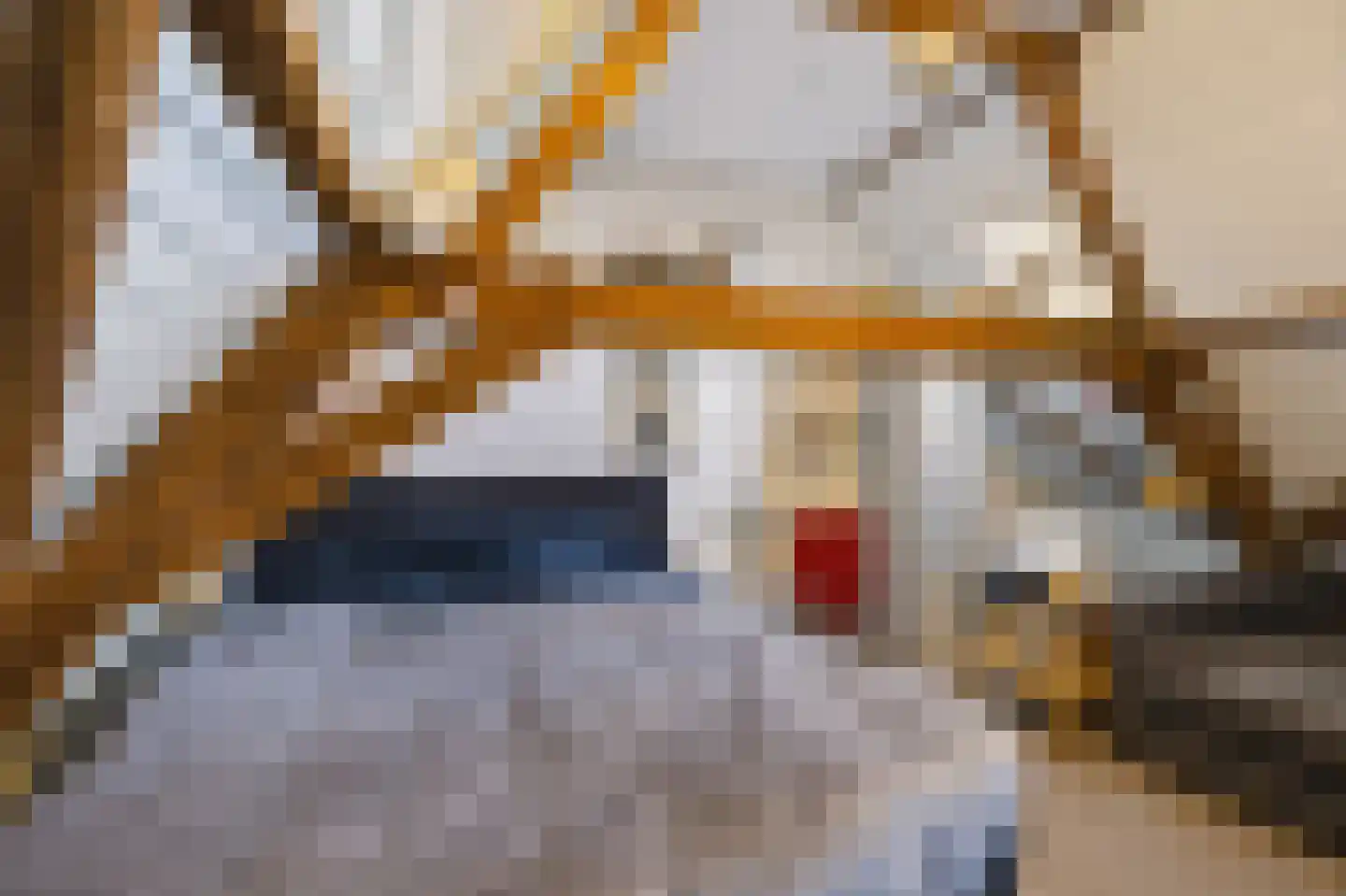 Kerkstraat 72 Zeeland thumbnail 42