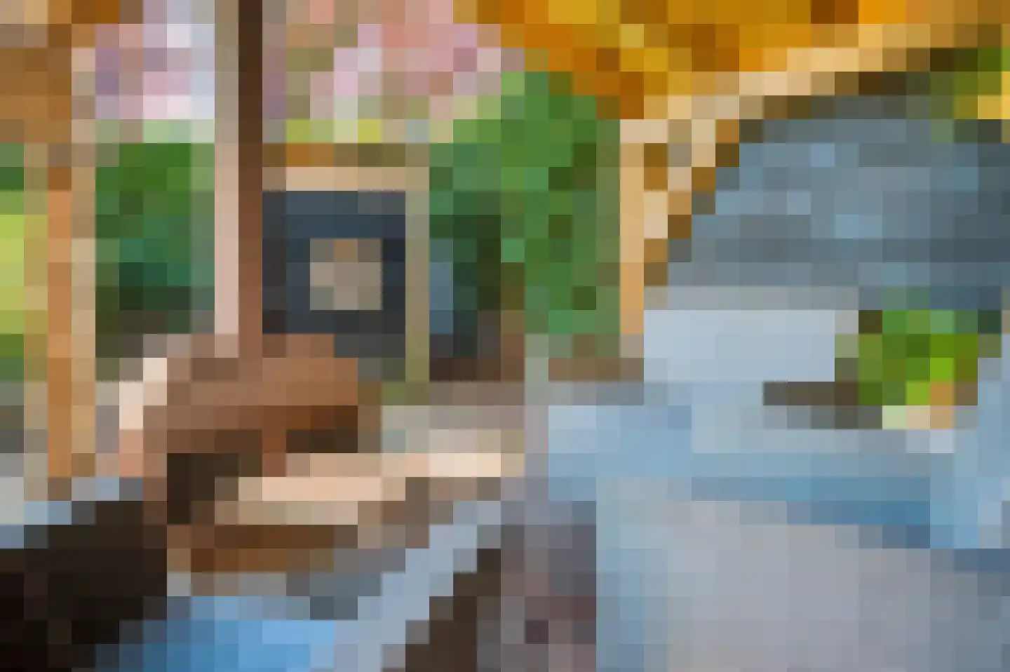 Kerkstraat 72 Zeeland thumbnail 53