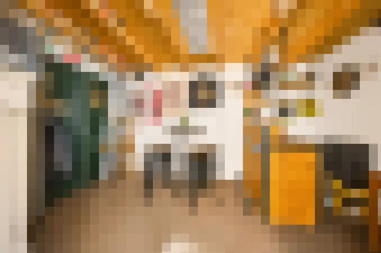 Kerkstraat 72 Zeeland thumbnail 61