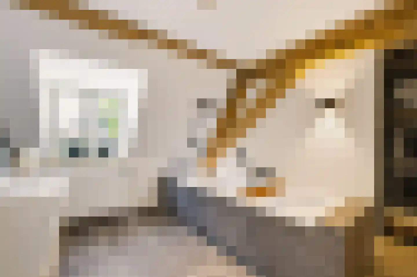 Kerkstraat 72 Zeeland thumbnail 7