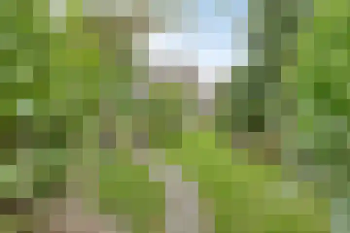 Kerkstraat 74 a Asten thumbnail 4