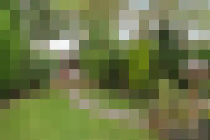 Kerkstraat 74 a Asten thumbnail 40